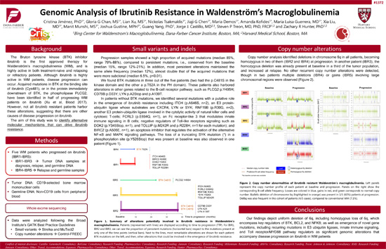 Genomic Analysis of Ibrutinib Resistance in Waldenstr&ouml;m&rsquo;s Macroglobulinemia