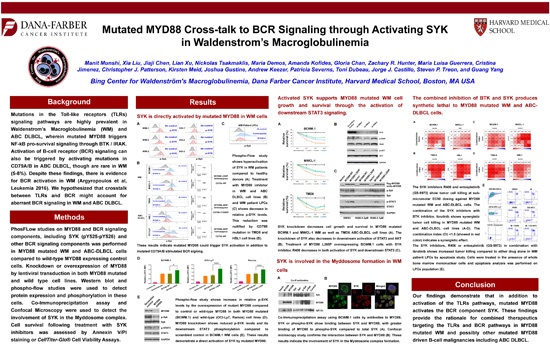 Mutated MYD88 Cross-talk to BCR Signaling through Activating SYK in Waldenstrom's Macroglobulinemia