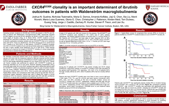CXCR4<sup>S338X</sup> clonality is an important determinant of ibrutinib outcomes in patients with Waldenström macroglobulinemia